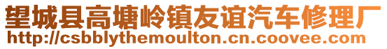 望城縣高塘嶺鎮友誼汽車修理廠