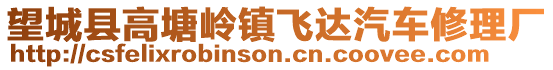 望城縣高塘嶺鎮飛達汽車修理廠