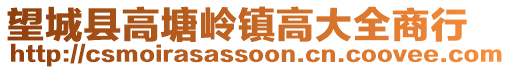 望城縣高塘嶺鎮(zhèn)高大全商行