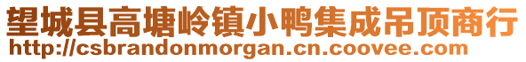 望城縣高塘嶺鎮(zhèn)小鴨集成吊頂商行