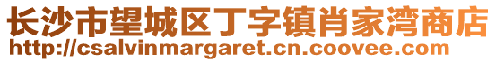 長沙市望城區(qū)丁字鎮(zhèn)肖家灣商店