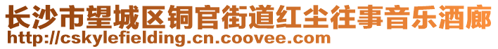 長沙市望城區(qū)銅官街道紅塵往事音樂酒廊