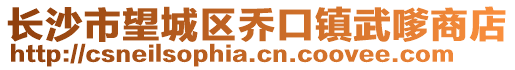 長沙市望城區(qū)喬口鎮(zhèn)武嗲商店