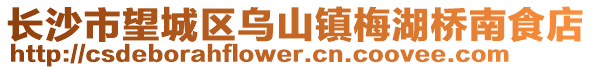 長(zhǎng)沙市望城區(qū)烏山鎮(zhèn)梅湖橋南食店