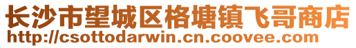 長沙市望城區(qū)格塘鎮(zhèn)飛哥商店