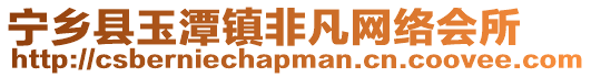 寧鄉縣玉潭鎮非凡網絡會所