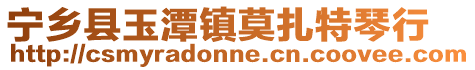 寧鄉縣玉潭鎮莫扎特琴行
