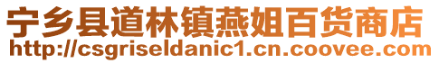 寧鄉縣道林鎮燕姐百貨商店