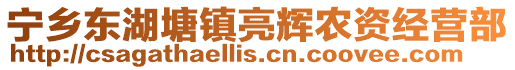 寧鄉(xiāng)東湖塘鎮(zhèn)亮輝農(nóng)資經(jīng)營部