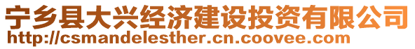 寧鄉(xiāng)縣大興經(jīng)濟(jì)建設(shè)投資有限公司