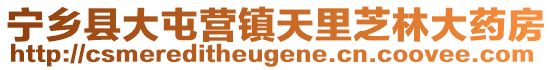 寧鄉(xiāng)縣大屯營(yíng)鎮(zhèn)天里芝林大藥房