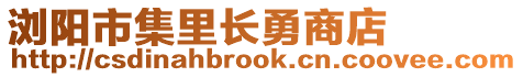 瀏陽市集里長勇商店