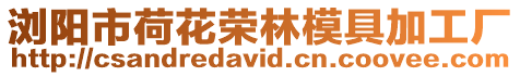 瀏陽市荷花榮林模具加工廠