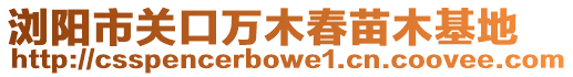 瀏陽市關口萬木春苗木基地