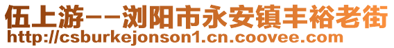 伍上游--浏阳市永安镇丰裕老街