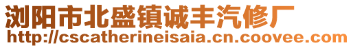 瀏陽市北盛鎮(zhèn)誠豐汽修廠