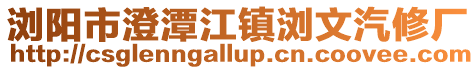 瀏陽市澄潭江鎮瀏文汽修廠