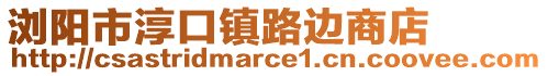 瀏陽市淳口鎮路邊商店