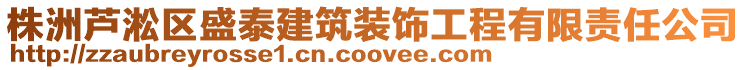 株洲蘆淞區(qū)盛泰建筑裝飾工程有限責(zé)任公司