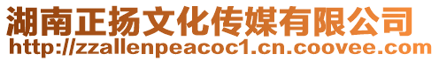 湖南正揚(yáng)文化傳媒有限公司