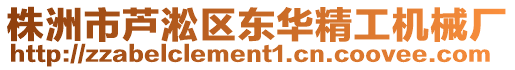 株洲市蘆淞區(qū)東華精工機(jī)械廠