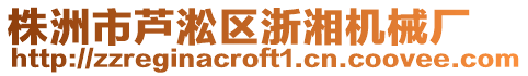 株洲市蘆淞區(qū)浙湘機(jī)械廠(chǎng)