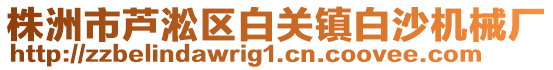 株洲市蘆淞區(qū)白關(guān)鎮(zhèn)白沙機械廠