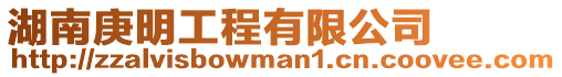 湖南庚明工程有限公司