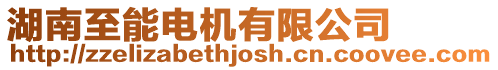 湖南至能電機有限公司