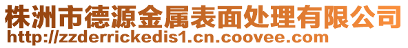 株洲市德源金屬表面處理有限公司