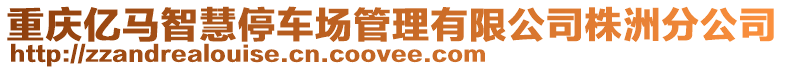 重慶億馬智慧停車場管理有限公司株洲分公司