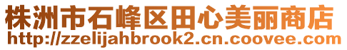 株洲市石峰区田心美丽商店