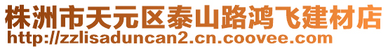 株洲市天元區(qū)泰山路鴻飛建材店