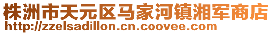 株洲市天元区马家河镇湘军商店