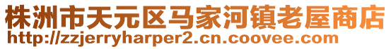 株洲市天元区马家河镇老屋商店