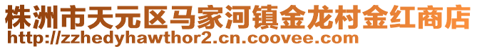 株洲市天元区马家河镇金龙村金红商店