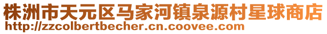 株洲市天元區(qū)馬家河鎮(zhèn)泉源村星球商店