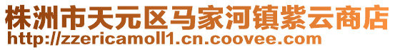 株洲市天元区马家河镇紫云商店