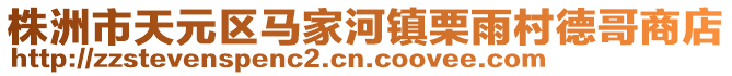 株洲市天元区马家河镇栗雨村德哥商店