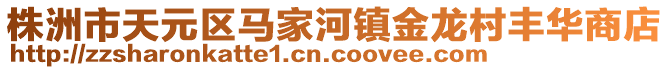 株洲市天元区马家河镇金龙村丰华商店