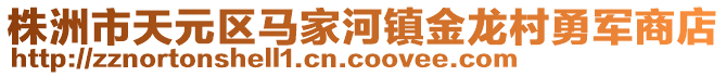 株洲市天元区马家河镇金龙村勇军商店