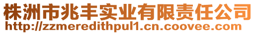 株洲市兆丰实业有限责任公司