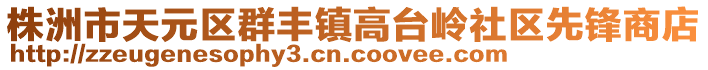 株洲市天元區(qū)群豐鎮(zhèn)高臺(tái)嶺社區(qū)先鋒商店