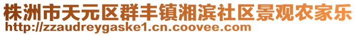 株洲市天元区群丰镇湘滨社区景观农家乐