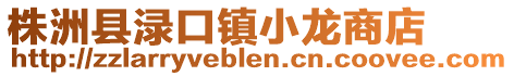 株洲县渌口镇小龙商店