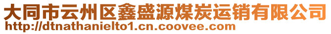 大同市云州區(qū)鑫盛源煤炭運(yùn)銷有限公司