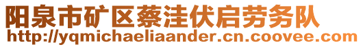 陽泉市礦區(qū)蔡洼伏啟勞務(wù)隊(duì)