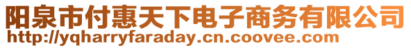 陽(yáng)泉市付惠天下電子商務(wù)有限公司