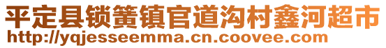 平定縣鎖簧鎮(zhèn)官道溝村鑫河超市