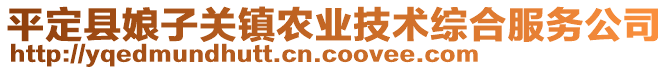 平定縣娘子關(guān)鎮(zhèn)農(nóng)業(yè)技術(shù)綜合服務(wù)公司